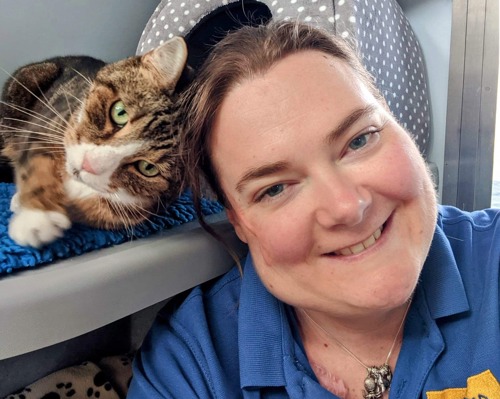 brunette woman wearing blue Cats protection t-shirt next to brown-and-white tabby cat