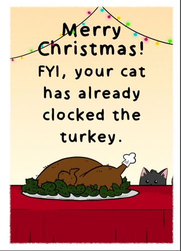 Turkey christmas card for cat lovers