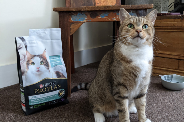 Cat allergen-reducing food has strengthened my bond with my cat