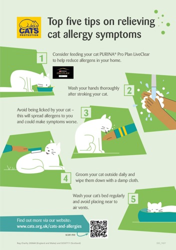 Cats Protection infographic showing the top five tips on relieving cat allergy symptoms