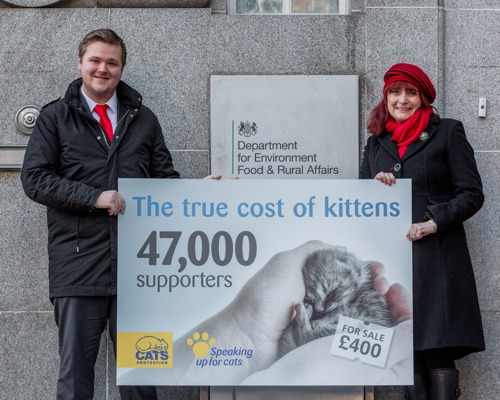Man and woman stand outside Defra offices holding sign saying 'The true cost of kittens' and 47,000 supporters'