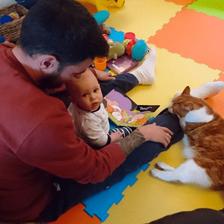 Man reading a story to a baby and Daisy the cat