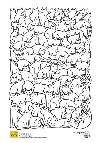 Mindfulness cat colouring sheet