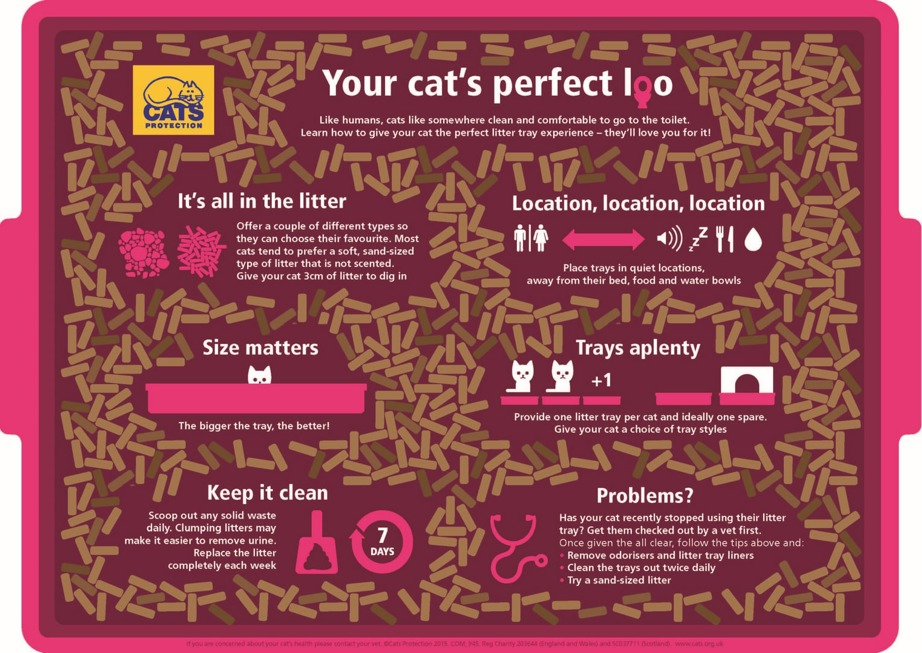 Cat litter tray advice
