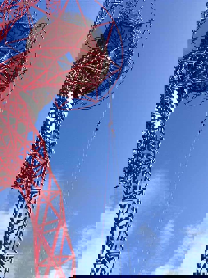 Fundraiser, 68, steps off buildings for Kent cats