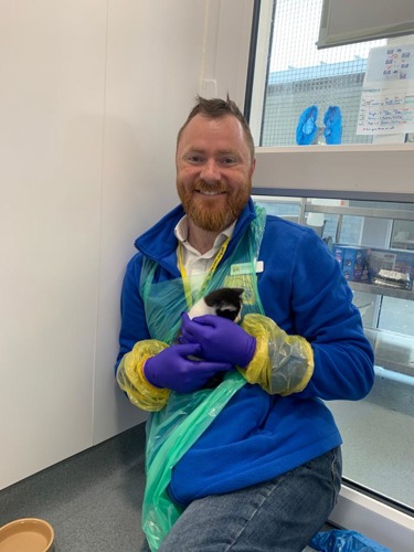 Man with short brown hair and beard wearing Cats Protection blue fleece and personal protective equipment holding black-and-white kitten