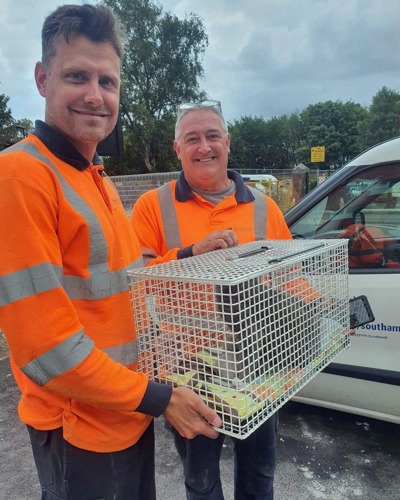 two men wearing orange reflective tops holding cat basket with cat inside