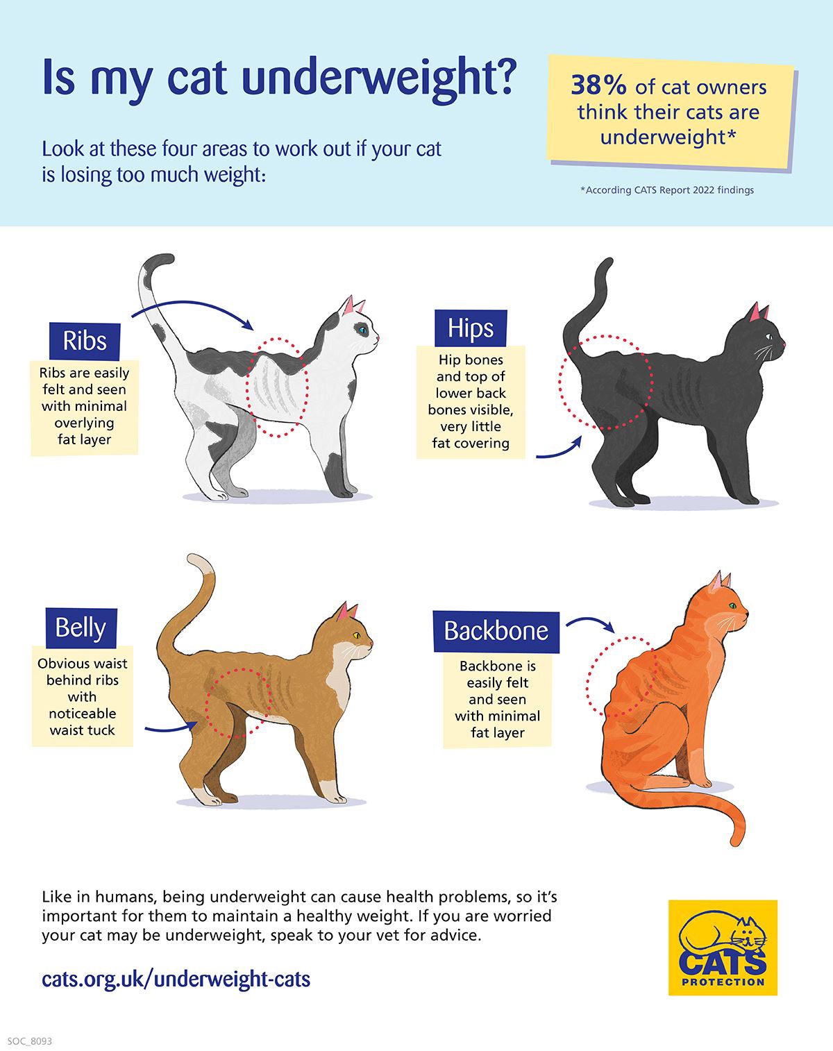 Really Skinny Cats