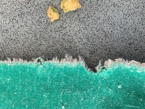 green mat with chewed edges