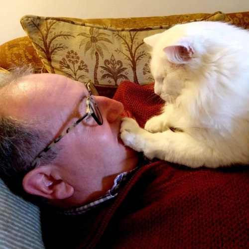 man with short grey hair and glasses wearing red jumper with long-haired white cat sat on his chest with its paw on his mouth