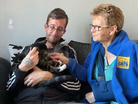 Mystery surrounds missing cat as sibling found 400 miles away