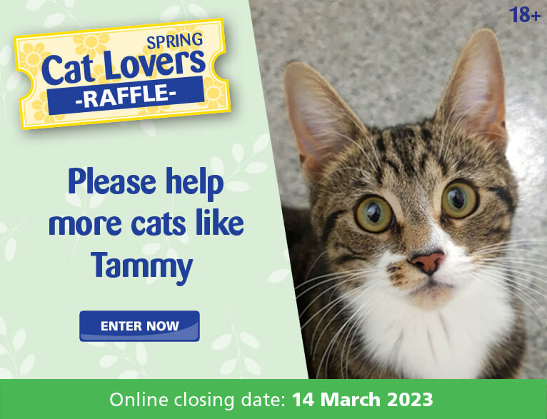 Cats Protection | UK's Largest Cat Welfare Charity Cats Protection | UK's Largest Cat Welfare Charity