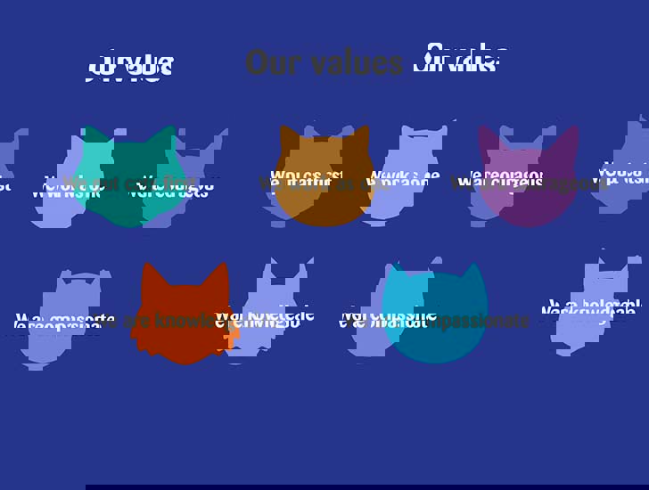 Careers Work with cats Cats Protection