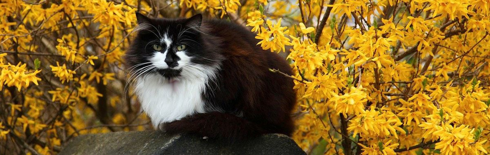 Framlingham & Saxmundham Branch