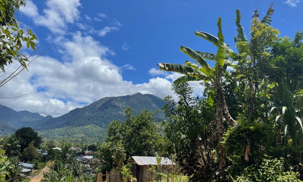 Madagascar Trek 2025 | Events | Cats Protection