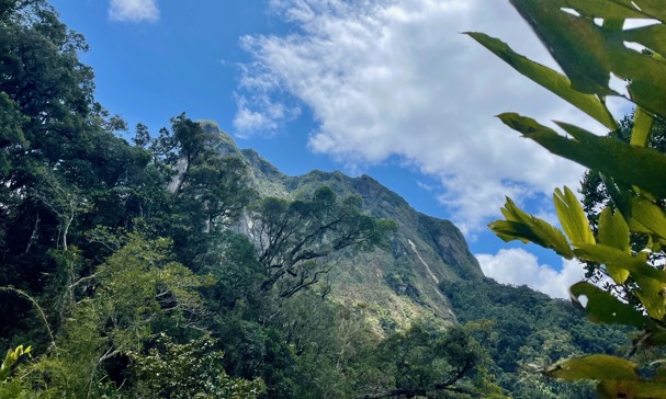 Madagascar Trek 2025 | Events | Cats Protection
