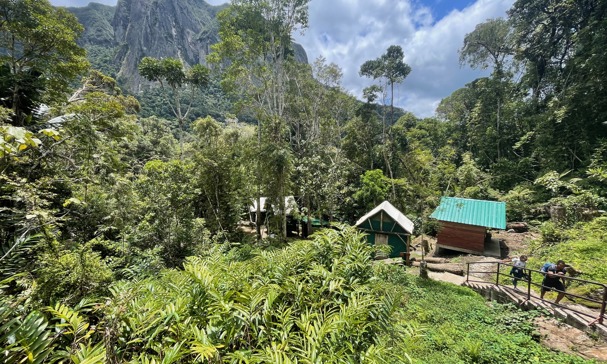 Madagascar Trek 2025 | Events | Cats Protection