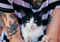 Black-and-white cat with their paws up and held in tattooed arms