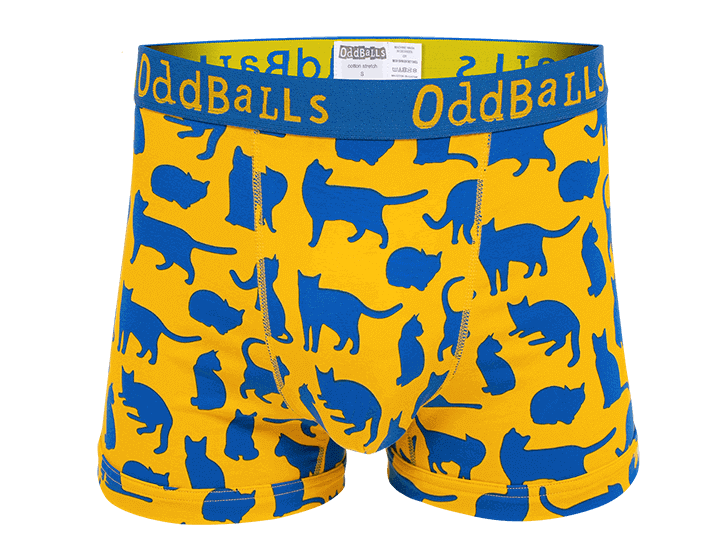 Cats Protection X OddBalls Partnerships Cats Protection