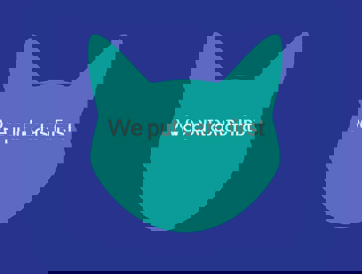 Values and behaviours Work with cats Cats Protection