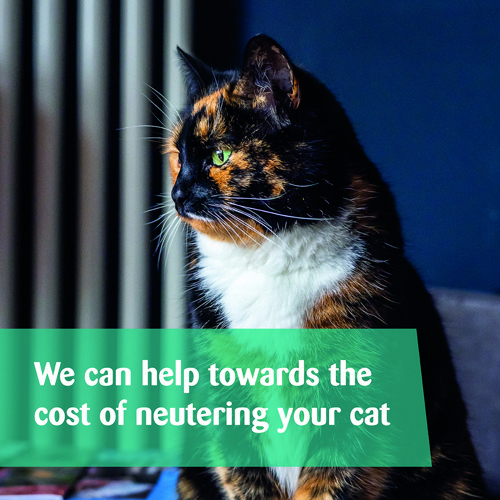 Cats Protection Woking & District Branch