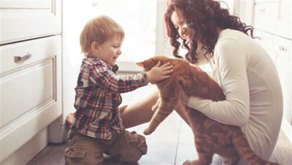 red head mum with son and ginger cat