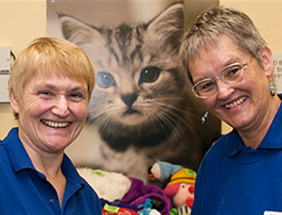 volunteering with cats near me