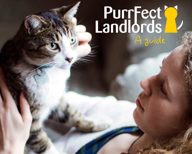 Purrfect-landlords