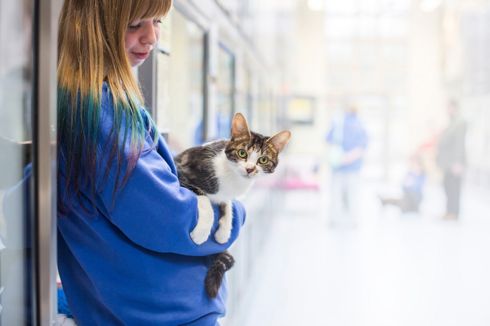 Volunteer opportunities Find an volunteer role Cats Volunteer opportunities Find an volunteer role Cats