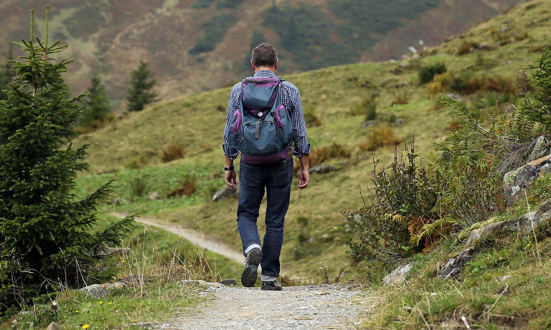 Treks and walks