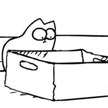 simon's cat box