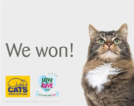 Cats Protection Wins the Pets at Home VIP Vote | Cats Protection
