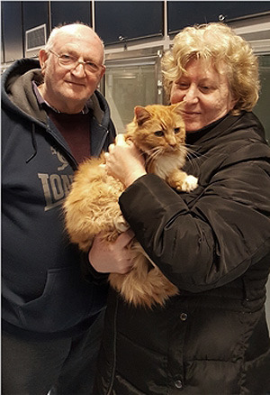 Cat Reunited with Family After 10 Years Thanks to Microchip