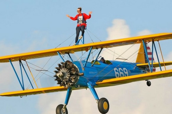 Wing walk for cats