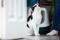 black-and-white cat being petted on the head with a litter tray in the background