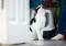 black-and-white cat being petted on the head with a litter tray in the background