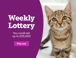 Lottery 