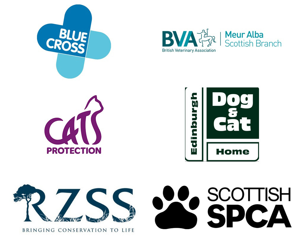 Animal charities push for compulsory microchipping for cats