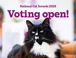 NCAs voting