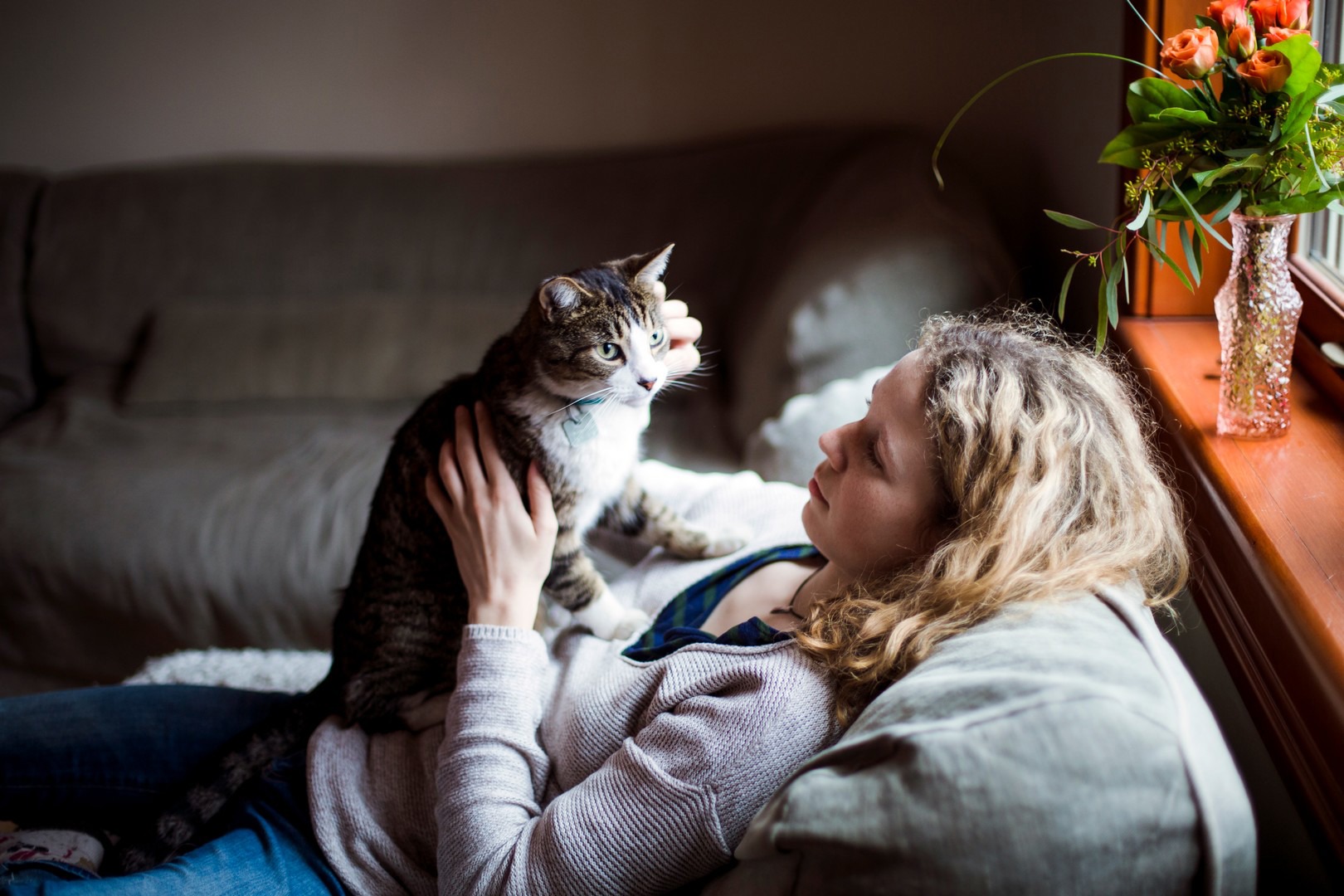 Purrfect Landlords Campaigns What we do Cats Protection