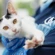 Cat In Arms