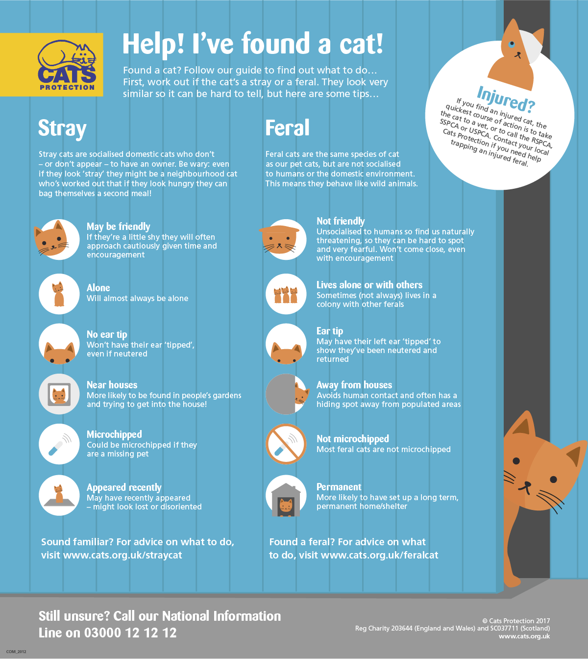 how to find a lost cat with a microchip