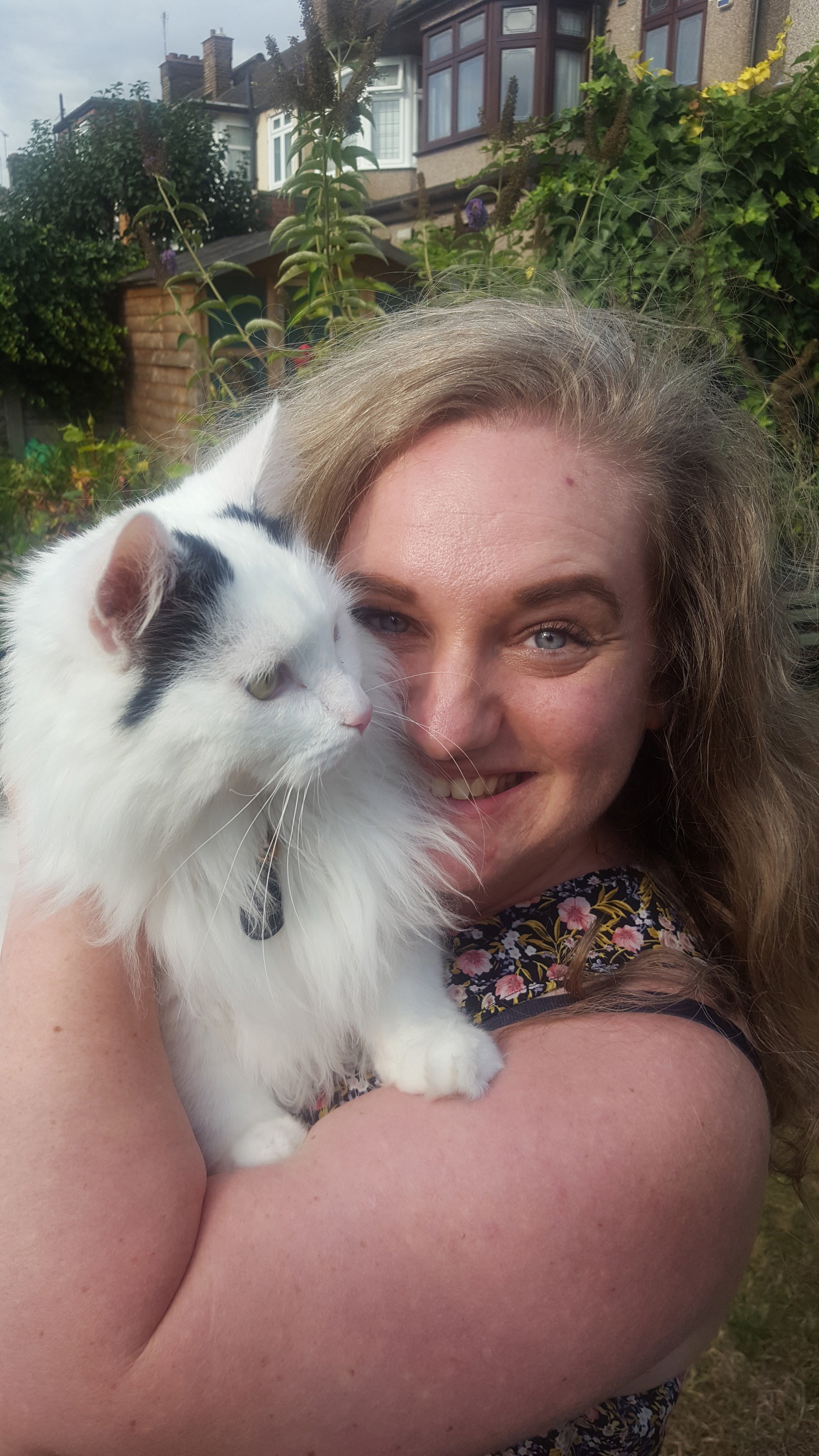 Cat aids mental health, shows survey Cats Protection