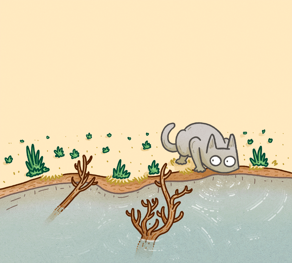 Online learning | Cats Protection