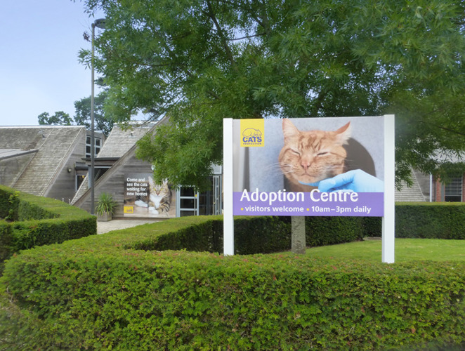 Welcome To Colchester Cats Protection