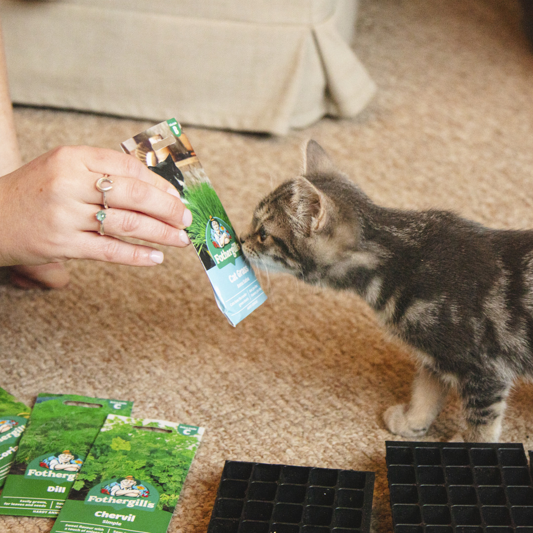 Fothergill's | Shop With Our Partners | Cats Protection