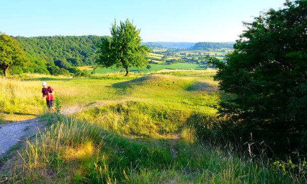North Downs 50 Ultra Challenge