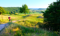 North Downs 50 Ultra Challenge
