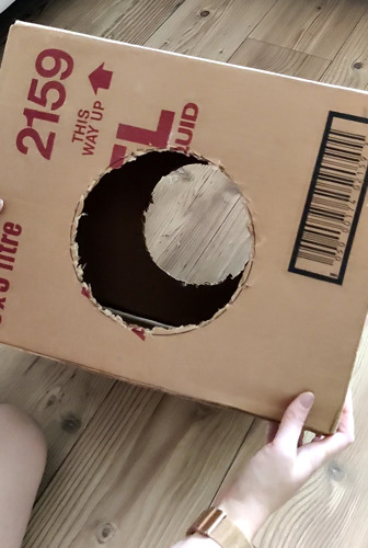 A cardboard box with a hole cut out of the front. You can see through the hole to another hole cut out of the back of the box