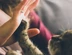 Woman giving tabby cat high five